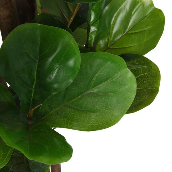Ficus Lyrata Tressé Artificiel - 180 cm