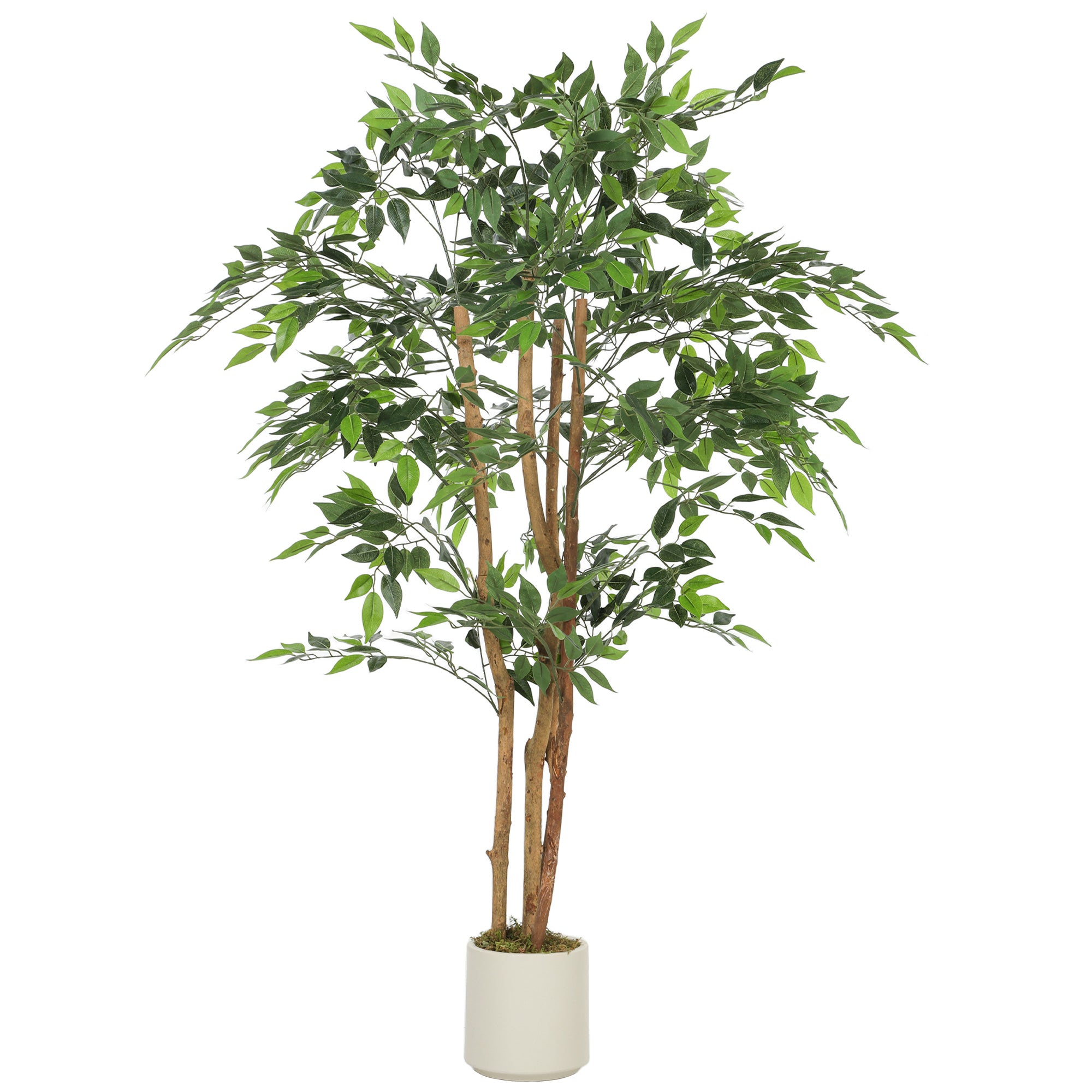 Ficus Muraya Artificiel - 150 cm