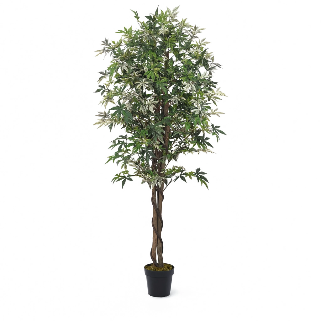 Plante Erable Artificielle - 150 cm