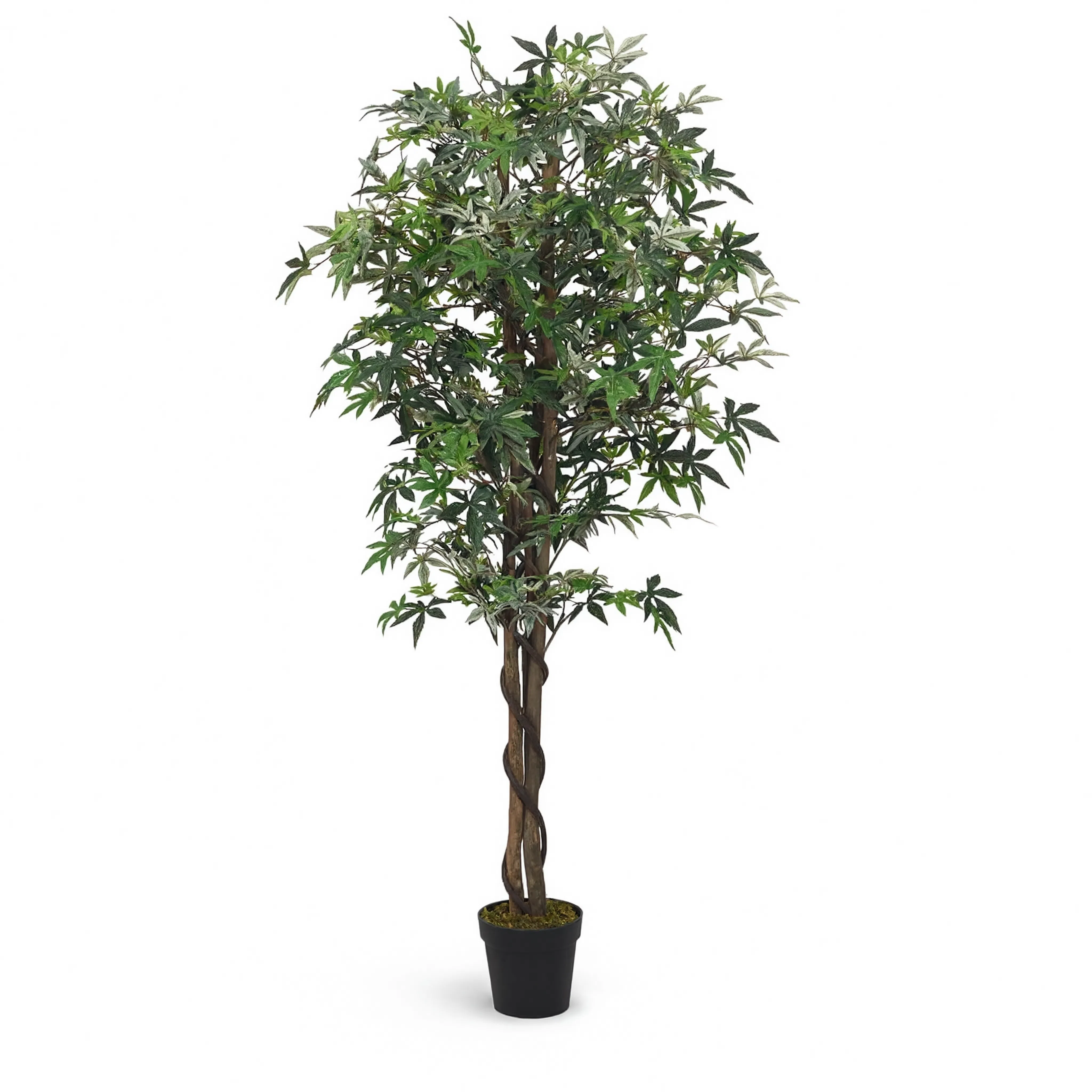 Plante Erable Artificielle - 200 cm