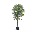 Plante Erable Artificielle - 120 cm