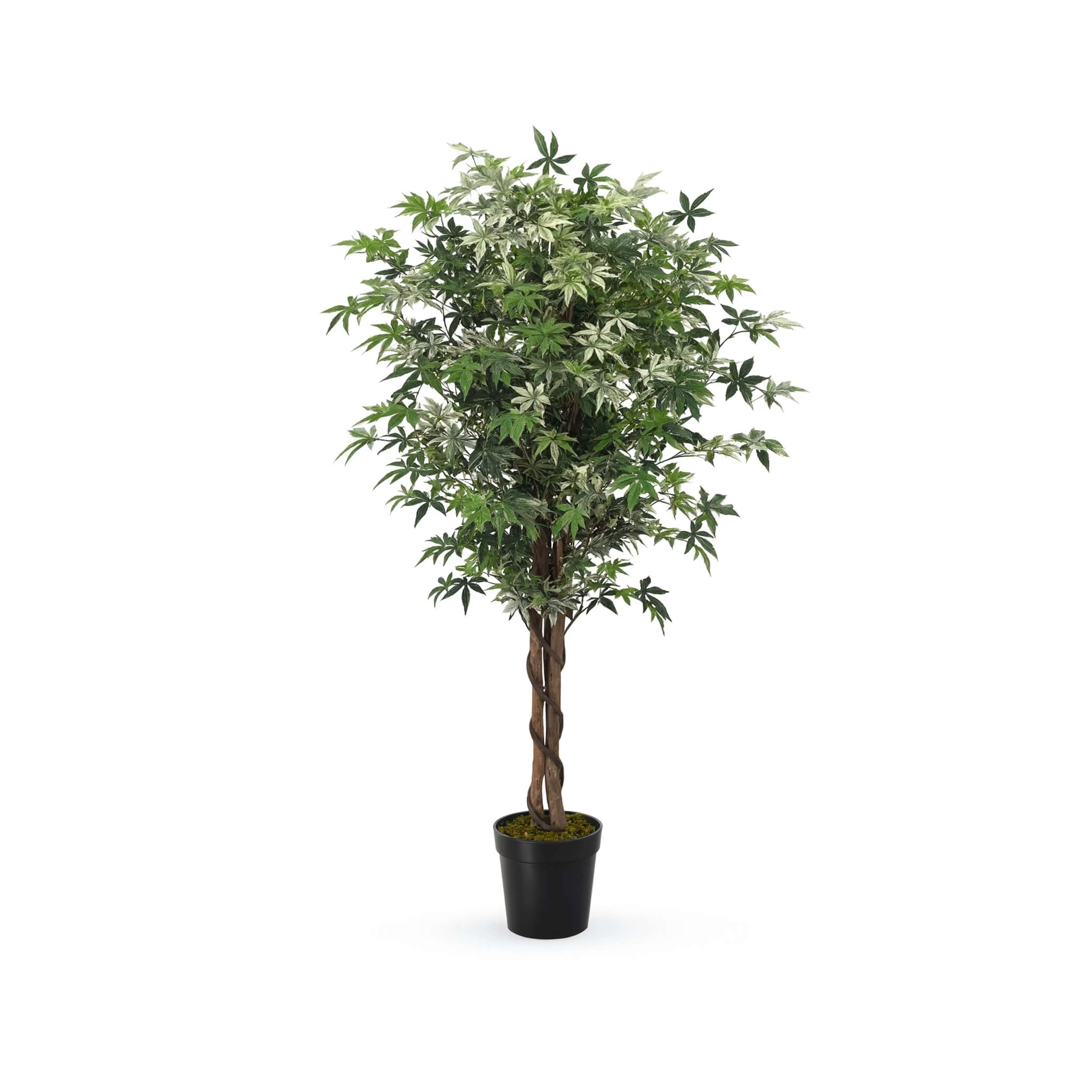 Plante Erable Artificielle - 80 cm