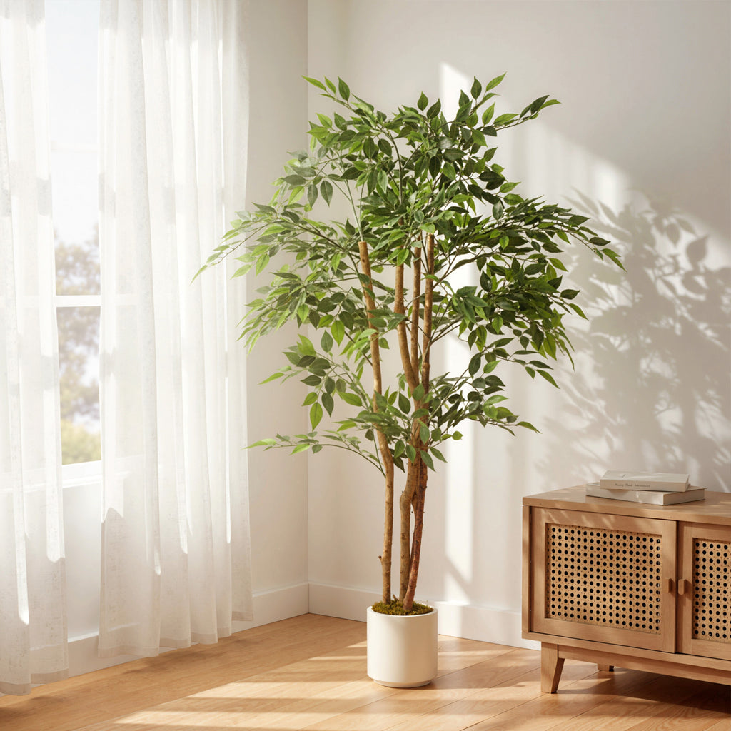 Ficus Muraya Artificiel - 150 cm